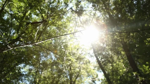 Sun's Rays - Natural Energy Stock Footage 38250316