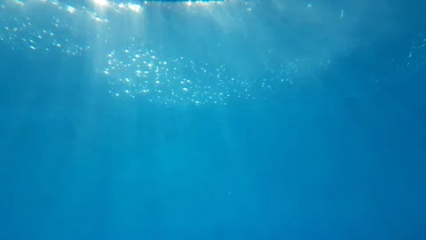 The sun's rays penetrate through the water and illuminate the coral reef and the Stock Footage 201475219