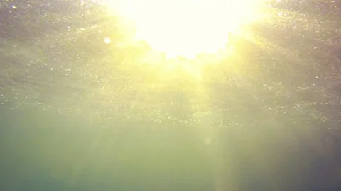 The sun's rays pervade the water Video stock 79146787