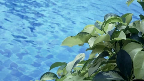 The sun's rays play in the clear water of the blue pool. 스톡 동영상 118596707