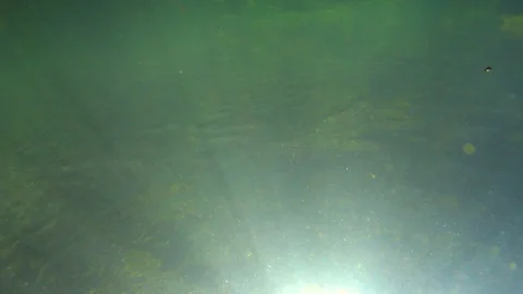 Sun's rays playing in the water. Background Video stock 88286535