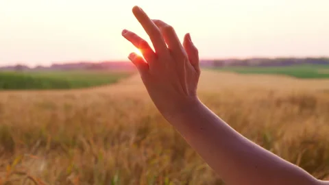The sun's rays shine through the fingers of a woman's hand. Stock Footage 157691234