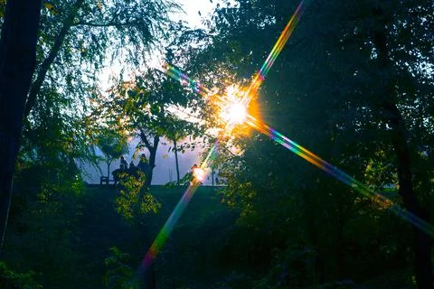 The sun's rays shine through the trees in the park in the fall. Stock Photos