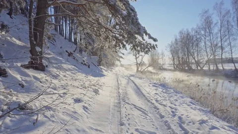 The sun's rays through the branches of trees Stock Footage 71307869