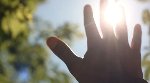 Suns rays through fingers palm Stock Footage