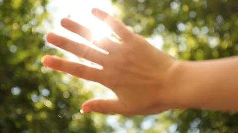 Sun's rays through fingers palm Stock Footage 8539554