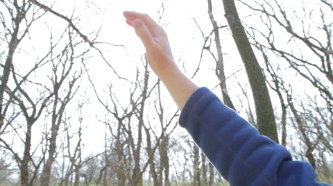 Sun's rays through fingers palm Stock Footage 37768729