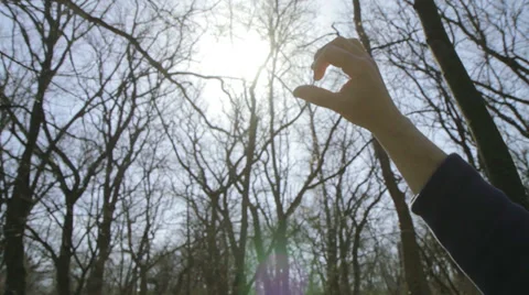 Sun's rays through fingers palm Stock Footage 37768987