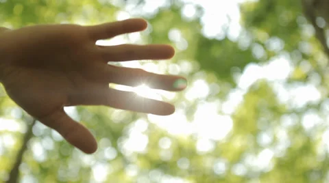 Sun's Rays Through Fingers Palm Stock-Footage 37925937