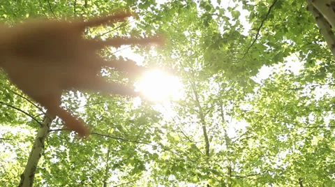 Sun's Rays Through Fingers Palm - Tracking shot 스톡 동영상 37931998