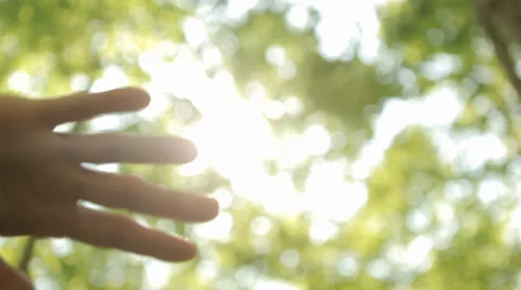 Sun's Rays Through Fingers Palm - Tracking shot Stock Footage 37933127