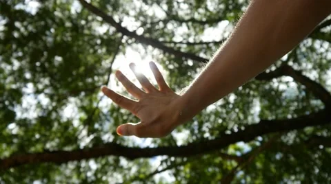 Sun's Rays Through Fingers Palm Stock-Footage 56649185