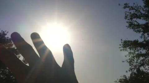 Sun's Rays Through Fingers Palm Video stock 62957372