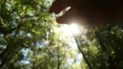 Sun's Rays Through Fingers - Tracking shot + Flying Particles Video stock 38259562
