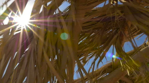 The sun's rays through the parasol. HD Stock Footage 67239207