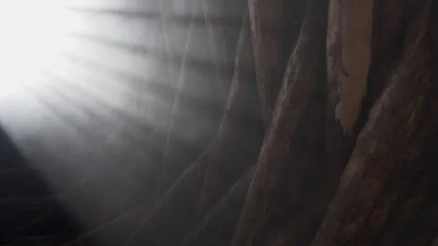 The sun's rays through the window grate Stock Footage 238766015