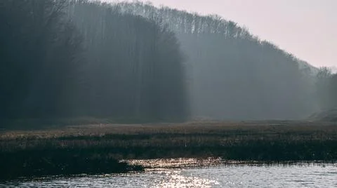 The suns rays through the woods Stock Photos