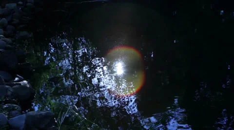 Sun's reflection on pond surface water Stock Footage 27478453