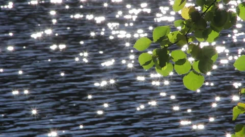 Sun's reflection in the water. Glare Video stock 55530527