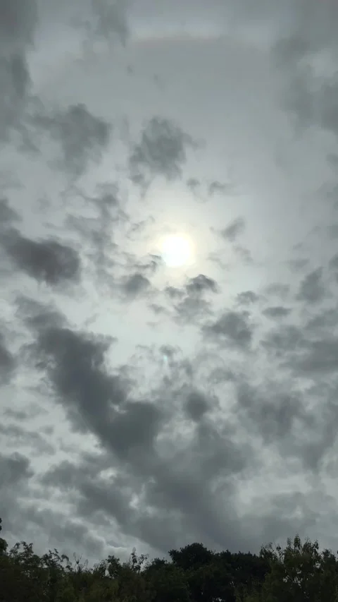 The Sun's Shining Into The Cloud With Moving Clouds And Windblown Trees Stock Footage 285240040