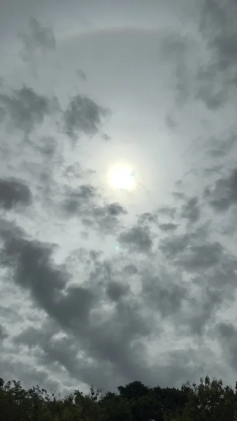The Sun's Shining On Cloudy Sky And Trees With Bird Flying At Bangkok Stock Footage 285240037