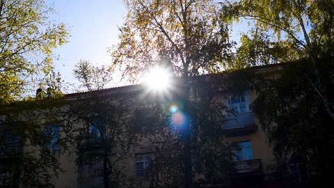 The sun's warm rays make their way through the foliage on an autumn day Stock-Footage 95927407