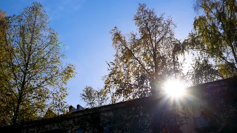 The sun's warm rays make their way through the foliage on an autumn day Stock-Footage 95927581