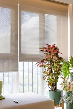 Sunscreen blinds in a ceiling recess. Stock Photos