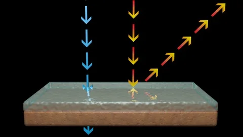 Sunscreen deflects uv rays from skin , allows good light in . 3d animation Stock Footage 109471768