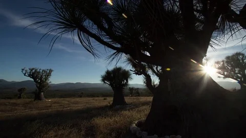 Sunsert in the desert timelapse rail Stock Footage 72329392