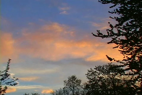 Sunset 07 動画素材 116196