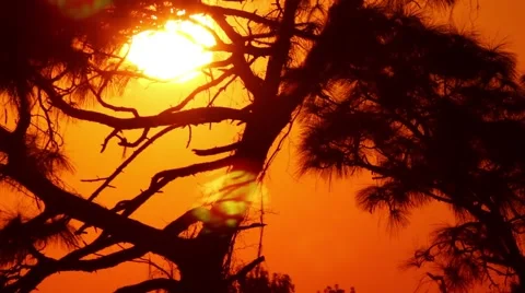 Sunset 076 (1080p 24fps) Stock Footage 59169371