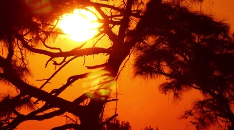 Sunset 076 (1080p 29.97) Video stock 59169383