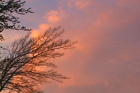 Sunset 08 動画素材 116197