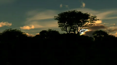 Sunset 1 Stock-Footage 559865