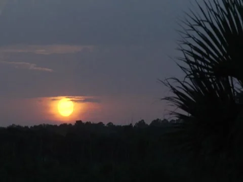 Sunset 1 Stock Footage 8693466