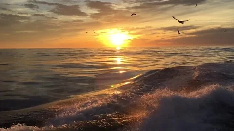 Sunset 1 스톡 동영상 83611241