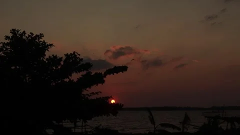 Sunset (1) Stock Footage 296525218