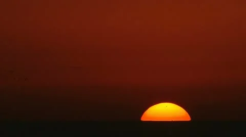 Sunset 100% birds 720 Stock Footage 20512197