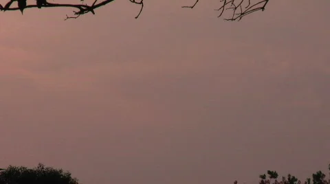 Sunset 1080 HD Stock Footage 498158