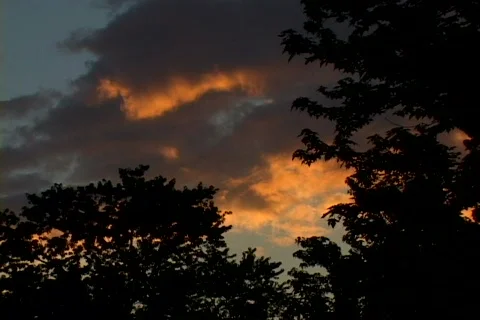 Sunset 17 動画素材 132357