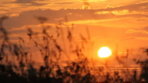 Sunset 2 Stock Footage 3677799