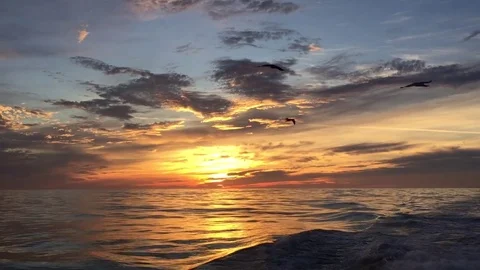 Sunset 2 스톡 동영상 83611236