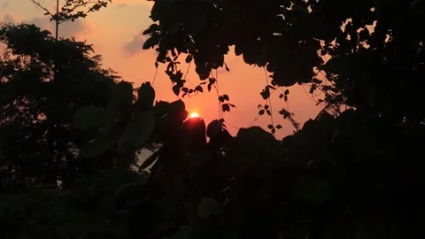 Sunset  (3) Stock Footage 296525301