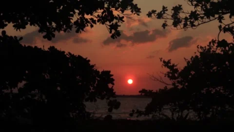 Sunset  (4) Stock Footage 296525320