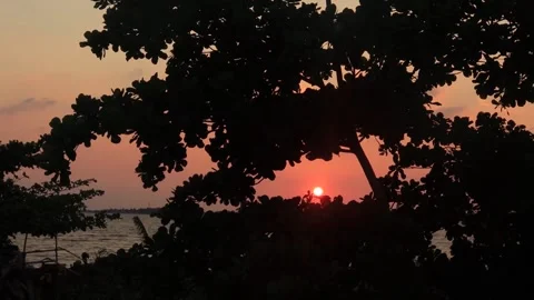 Sunset (5) Stock Footage 296525307