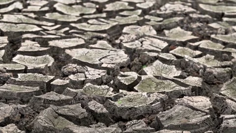 Sunset above drought disaster hot weather dry soil. Climate change global 스톡 동영상 334029646