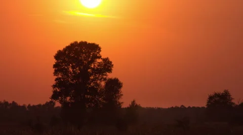 The sunset above field with trees. TIME LAPSE, TELEPHOTO LENS SHOOTING Stock-Footage 41785251