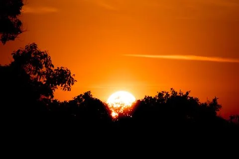 Sunset above the forest Foto stock