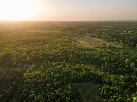 Sunset above forest Stock Photos